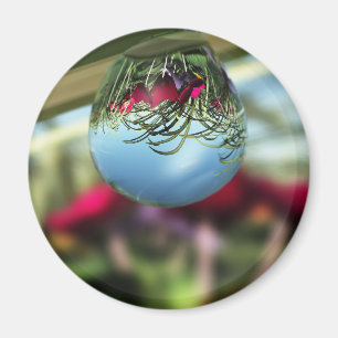 Roses on Raindrops Magnet