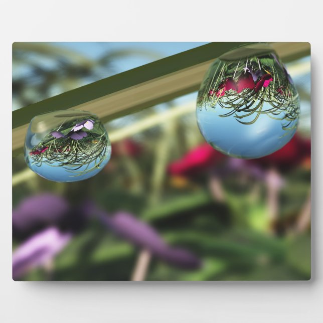 Roses on Raindrops Photo Plaque (Front)