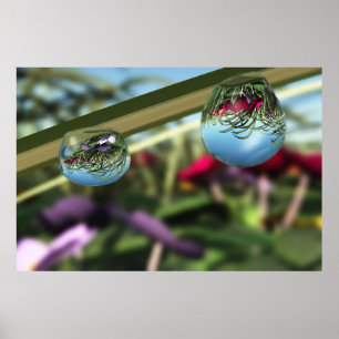 Roses on Raindrops Print