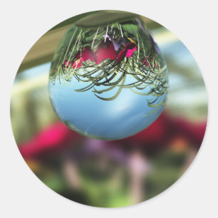 Roses on Raindrops Stickers