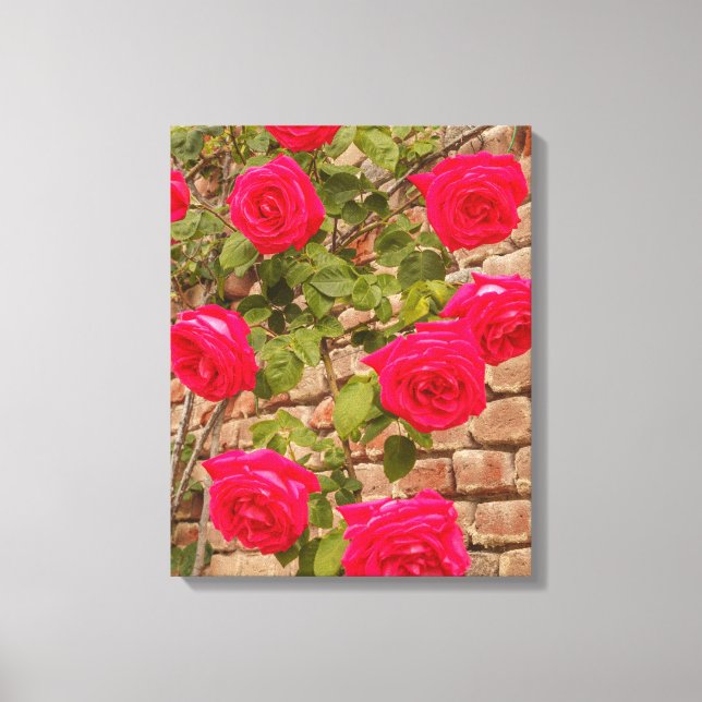 roses on Stretched Canvas Print  (Front)