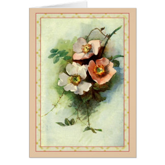 Roses on the Vine