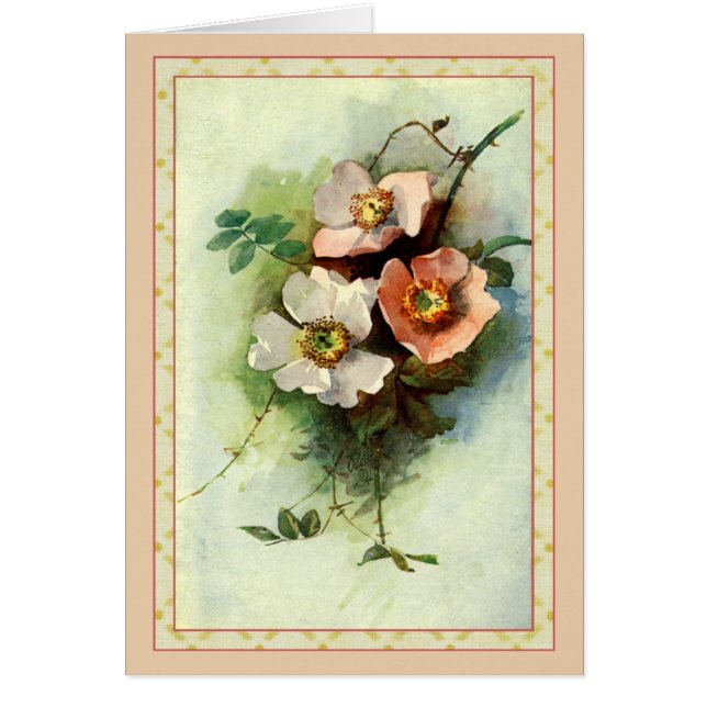 Roses on the Vine (Front)