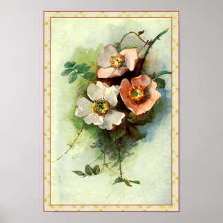 Roses on the Vine - Print