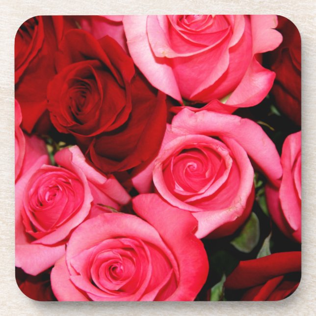 Roses, Pink and Red Coaster (Front)
