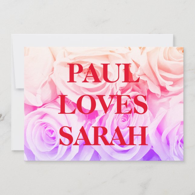 roses pink flowers background custom greeting card (Front)