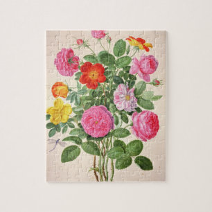 Roses, plate 4 from the Nassau Florilegium (w/c on Jigsaw Puzzle