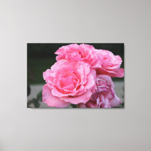 Roses Portrait Stretched Canvas Print
