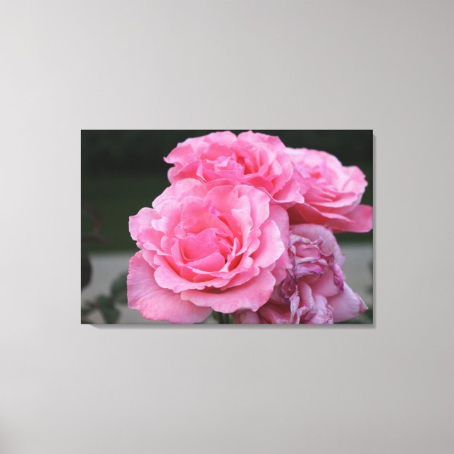 Roses Portrait Stretched Canvas Print (Front)