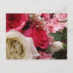 Roses Postcard