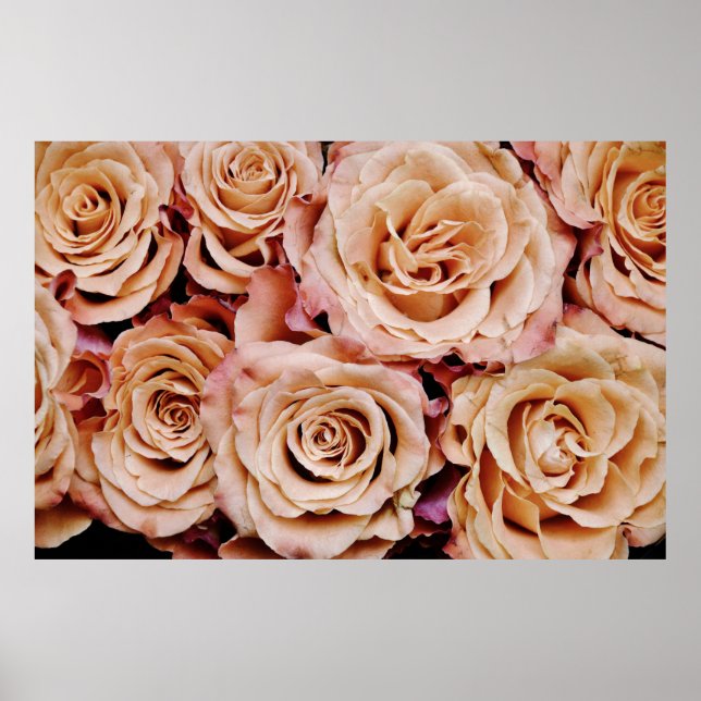 Roses Poster (Front)