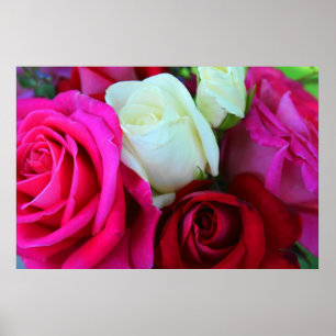 Roses Print