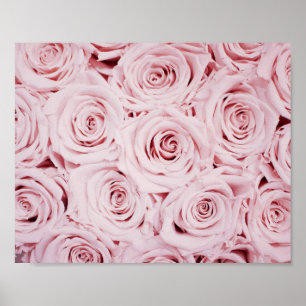 Roses print   flowers wall art