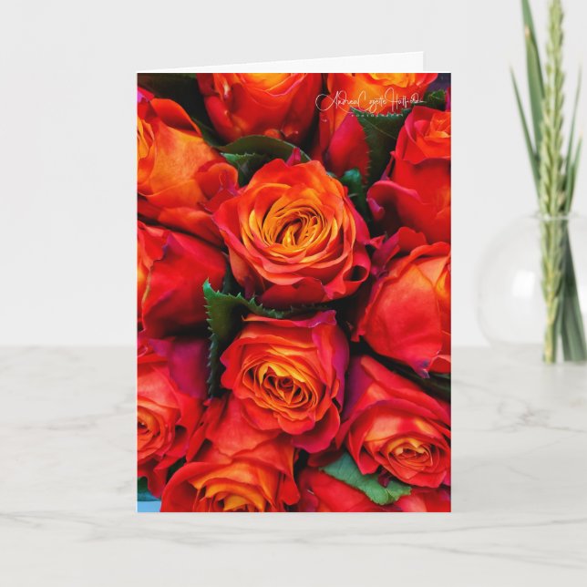 Roses Red Card (Front)