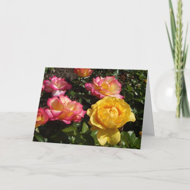 Roses, Roses, Roses! Holiday Card (Front)