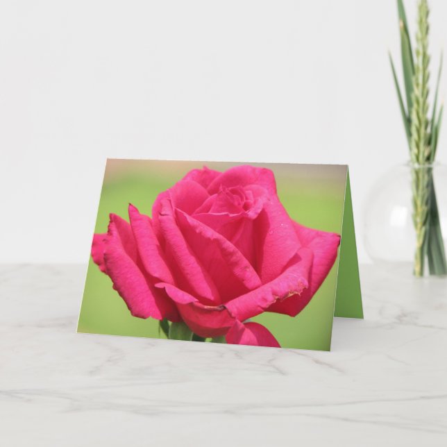 Roses smell sweeter holiday card (Front)
