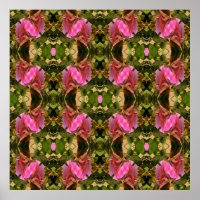 Roses Spectacular....
