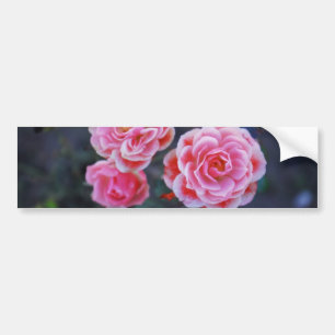 Roses Sticker