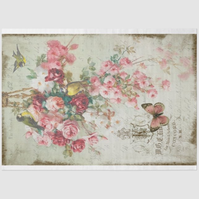 Roses Traînantes Pink Roses & Birds Decoupage Tissue Paper (Front)