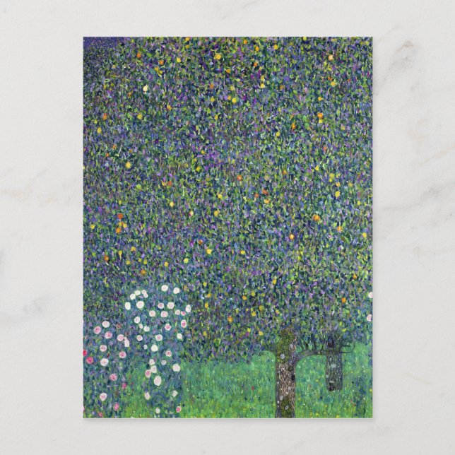 Roses under the Trees, c.1905 Postcard (Front)