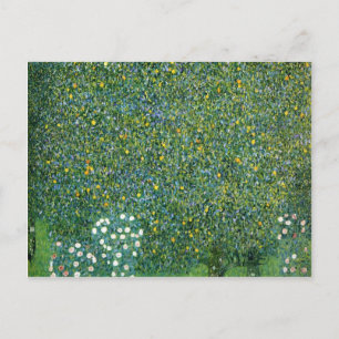 Roses under the Trees Cute Postcard