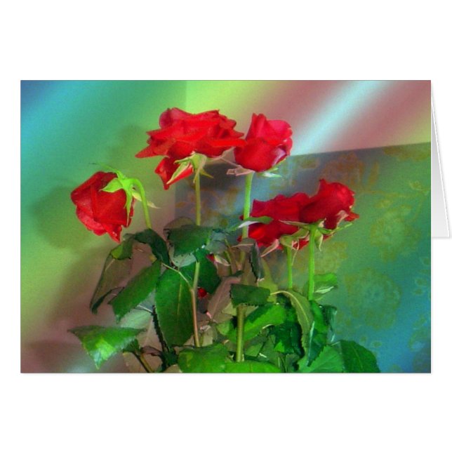 Roses,-Venice---Colours (Front Horizontal)