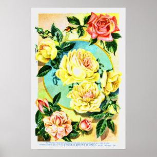 Roses Vintage Flower Seed Company Poster