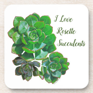 Rosette Succulents Plastic Coaster
