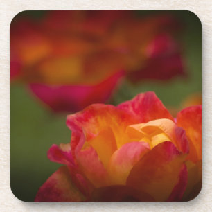 Rosey Cork Coaster