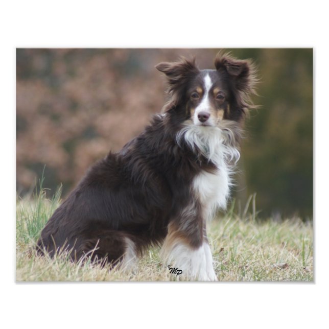 Rosie 1 photo print (Front)