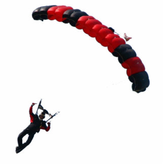 Ross_Canopy_T Photo Sculpture Decoration