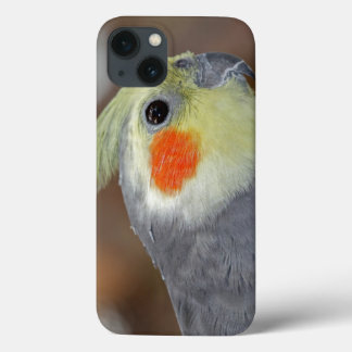 Rosy Cheeks iPad Case