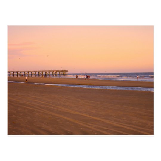 Rosy Evening at Isle of Palms Postcard