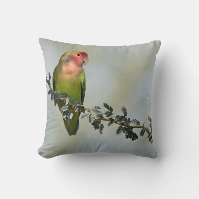 Rosy- faced love bird on a branch cushion (Front)