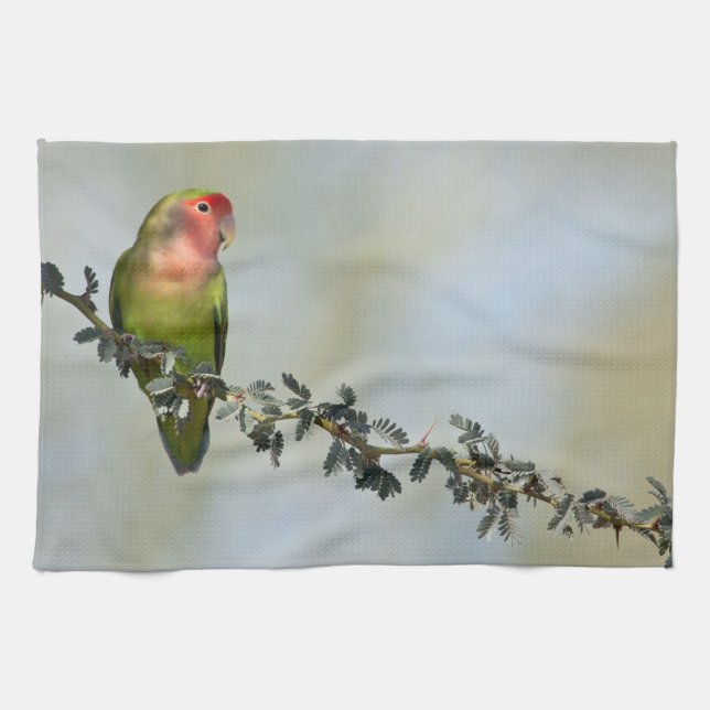 Rosy- faced love bird on a branch tea towel (Horizontal)