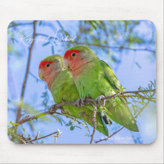 Rosy-faced Lovebird Mouse Mat