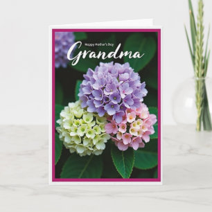 Rosy Hues Grandma Card