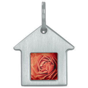 rosy living pet ID tag