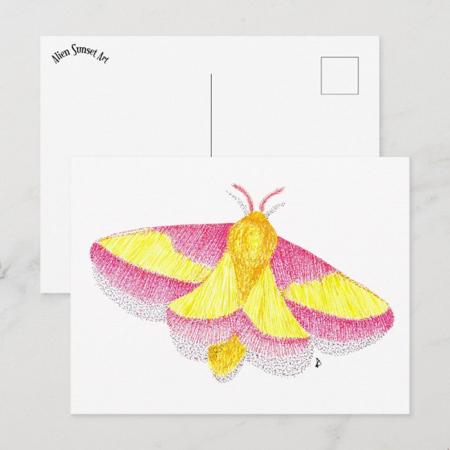 Rosy Maple Moth Postcard (Front/Back)