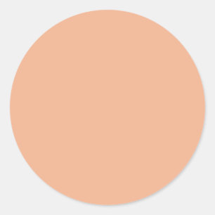 Rosy Peach Beige Classic Round Sticker
