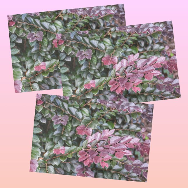 Rosy Purple Green Foliage  Botanical Photographic Tissue Paper (Creator Uploaded)