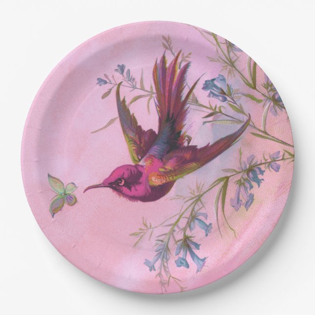 Rosy Red Hummingbird Paper Plate (Front)