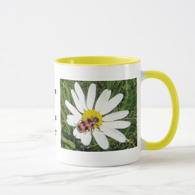 Rot-schwarzer Käfer auf weisser Margerite, Tasse Mug (Right)