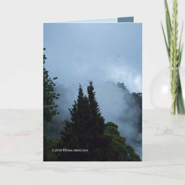 Rotarua Morning Card (Front)