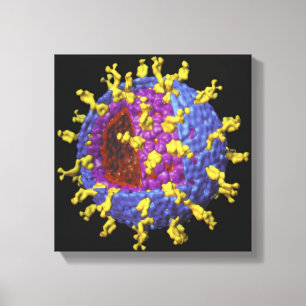 Rotavirus 2 canvas print