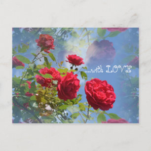 Rote Rosen  für Dich ... Postcard