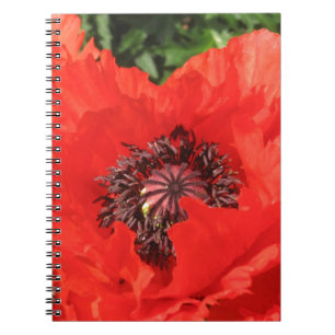 Roter Mohn Notebook