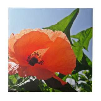 Roter Mohn Tile