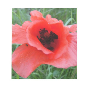 Roter Mohnblumenkelch Notepad