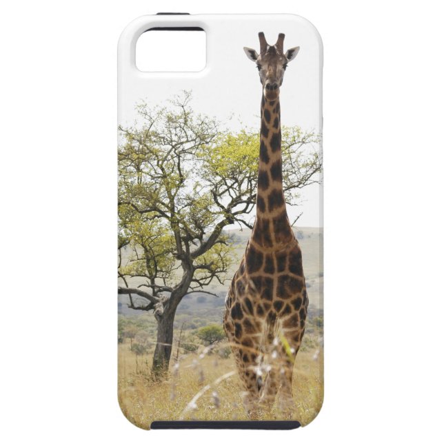 Rothschild Giraffe endangered species iPhone 5 cas Case-Mate iPhone Case (Back)